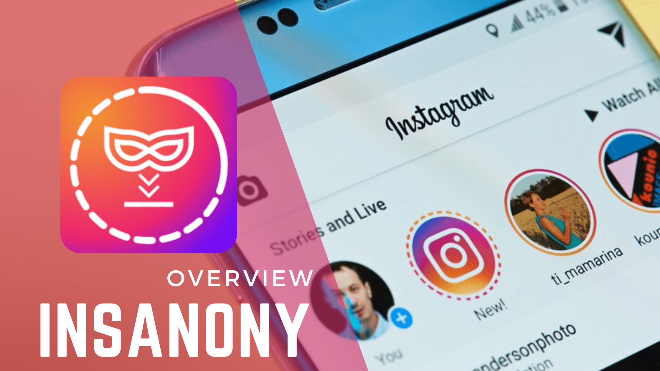 Insanony overview - best Instagram story viewer
